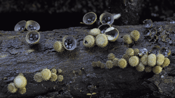 IMG_0405.GIF