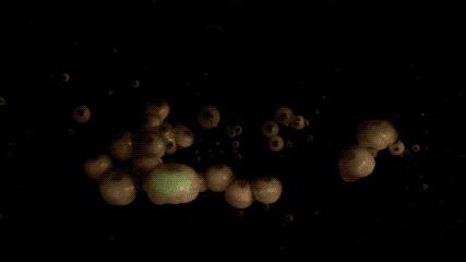 IMG_0410.GIF