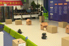 c265.gif