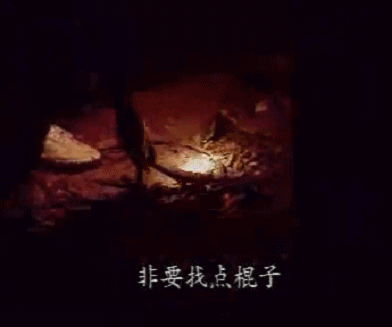 IMG_3549.GIF