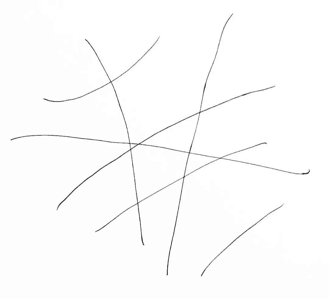 IMG_4732.PNG