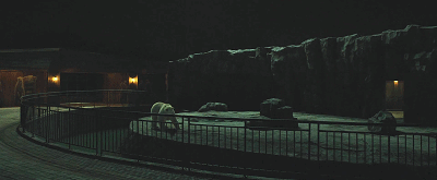 IMG_7549.GIF