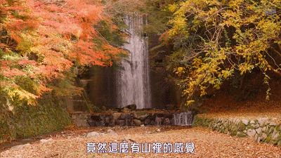 IMG_7594.GIF