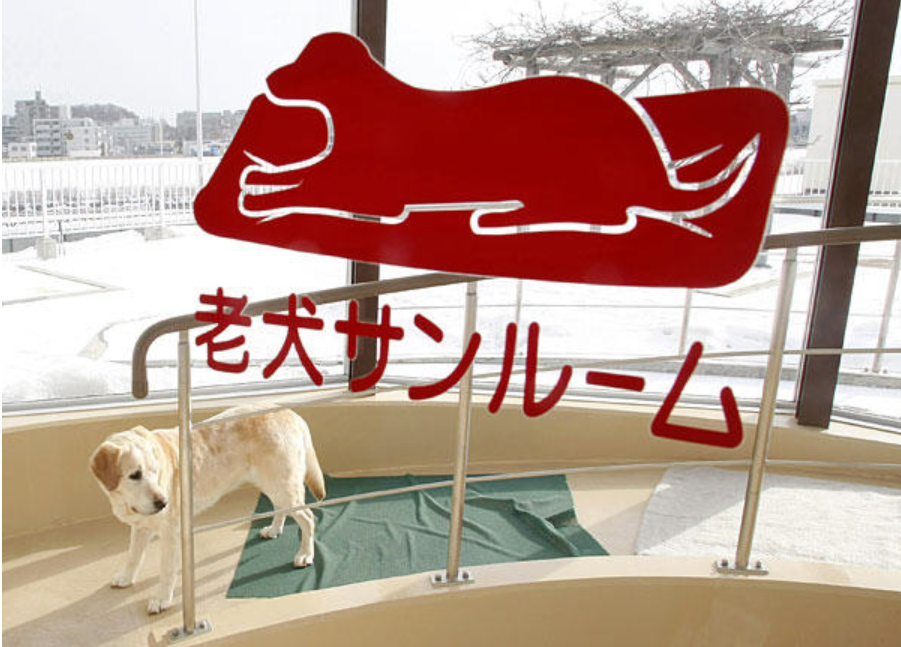IMG_7700.PNG