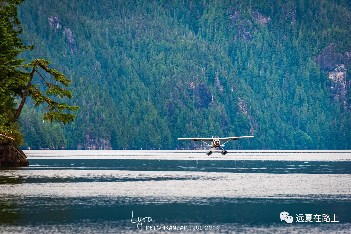 IMG_9646.JPG