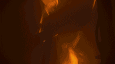 IMG_0469.GIF