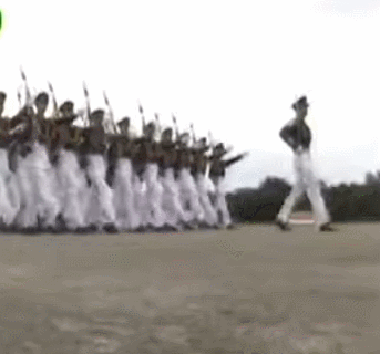 a741.gif