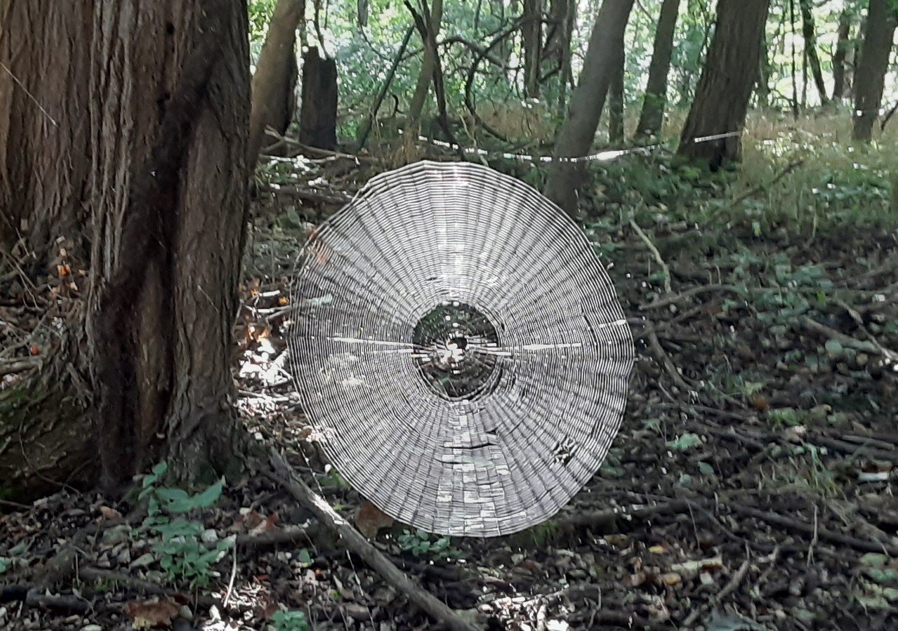 s287.jpg