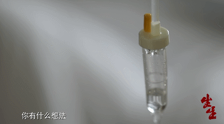 IMG_2980.GIF