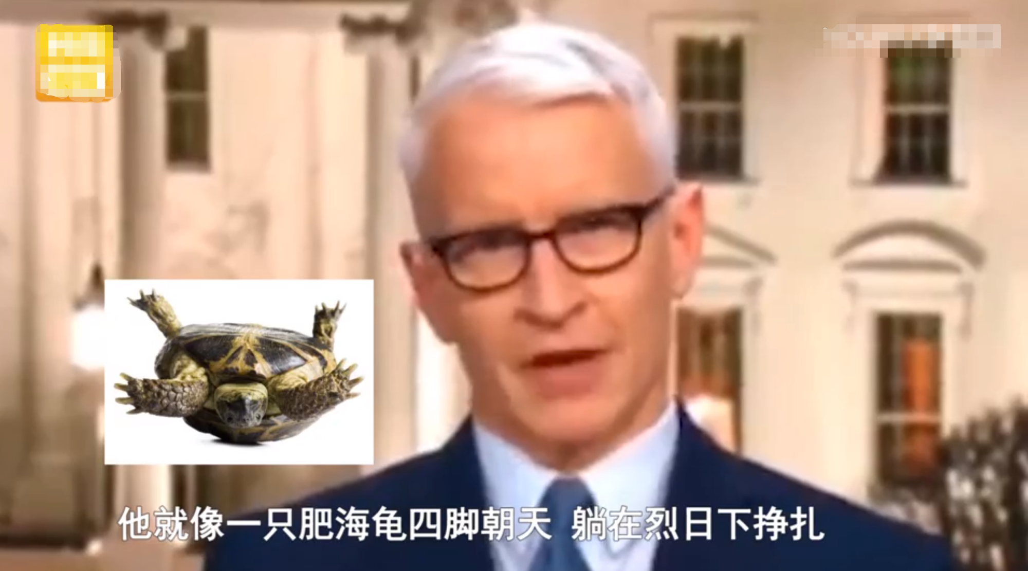 q406.jpeg