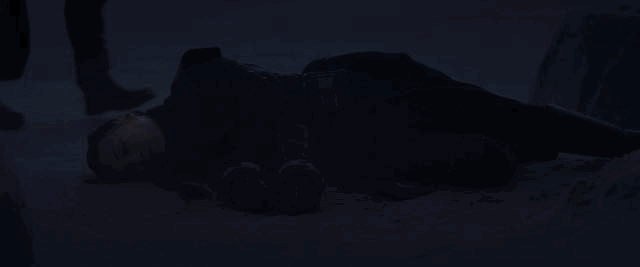 IMG_4155.GIF