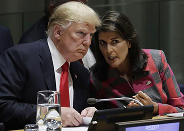 q413.jpg