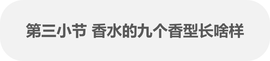 IMG_5733.PNG