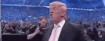 q585.gif