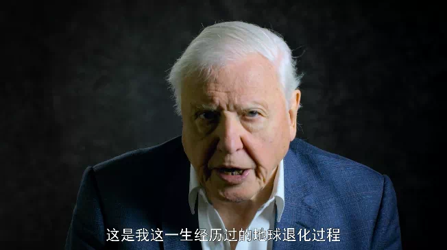 IMG_0847.PNG