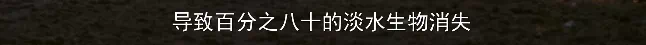 IMG_0863.PNG