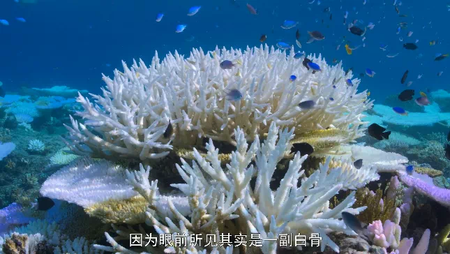 IMG_0871.PNG