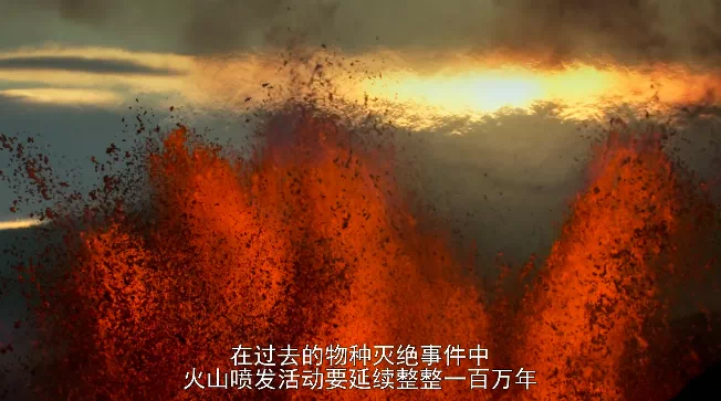 IMG_0875.PNG