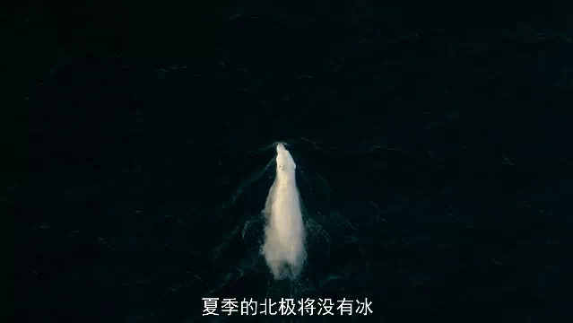 IMG_0882.PNG
