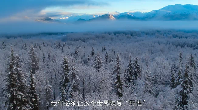 IMG_0891.PNG