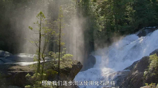 IMG_0893.PNG