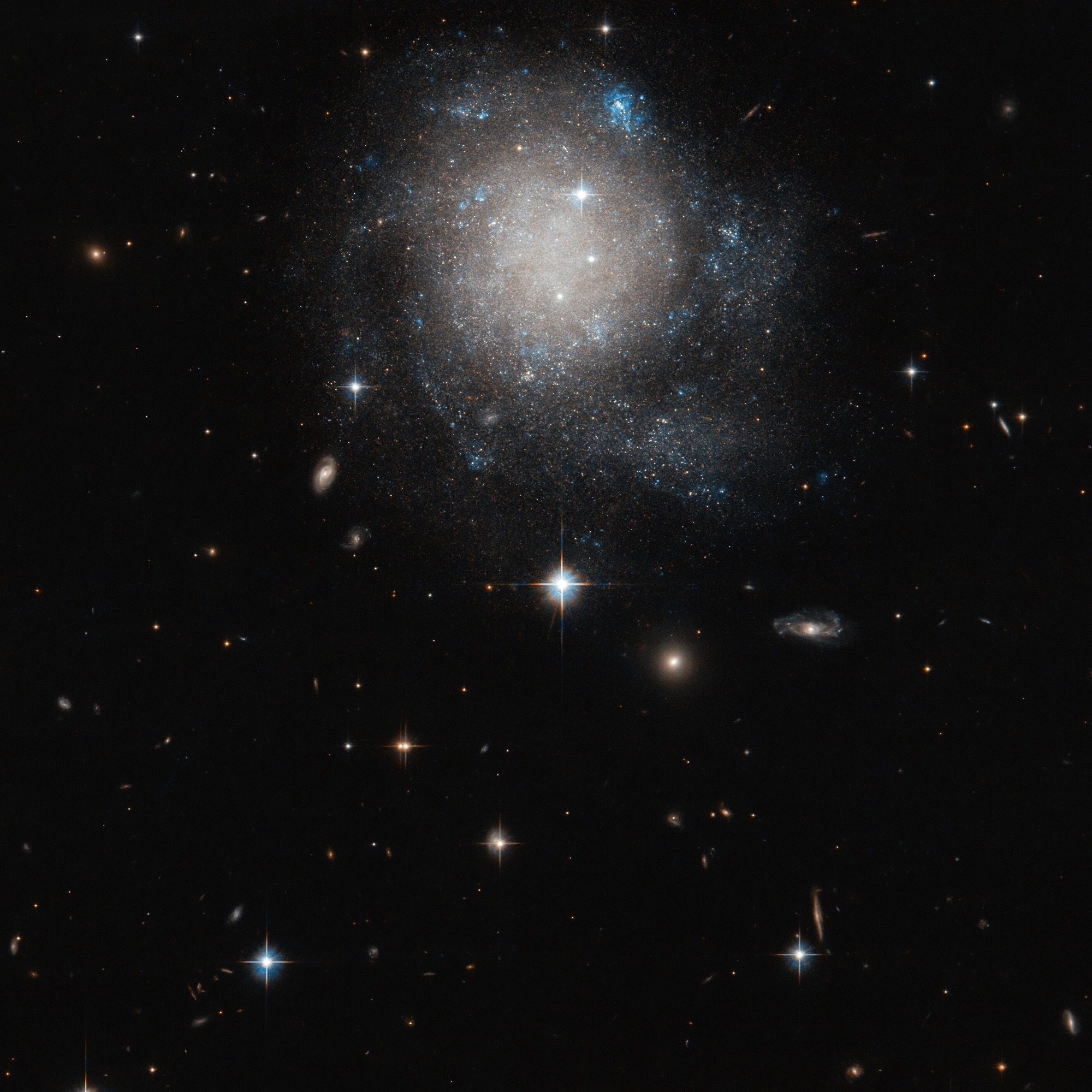 7253A662-126A-4199-934B-D3A73FA3EAC6.jpeg