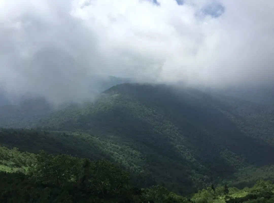 2EE610E5-990A-4AD1-979D-F21DDA05687D.jpeg