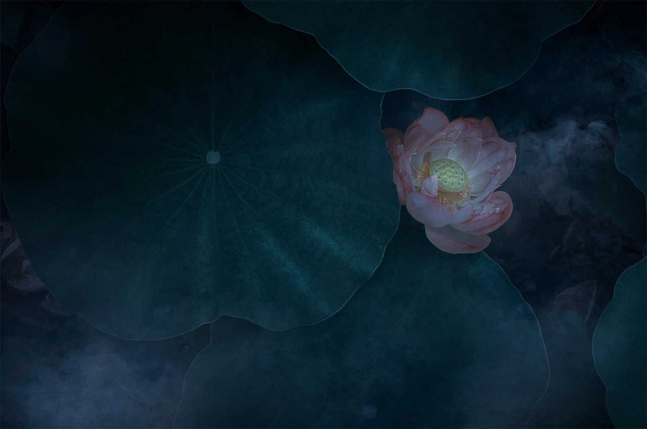 A80575FE-06FD-486A-A23C-F397125F9571.jpeg