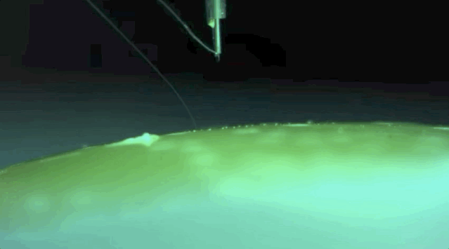 Picture10.gif