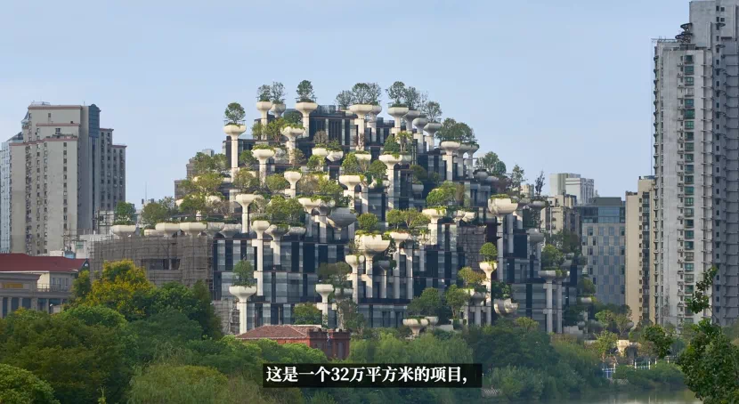 IMG_4893.PNG