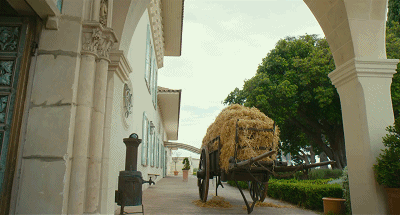 IMG_7833.GIF