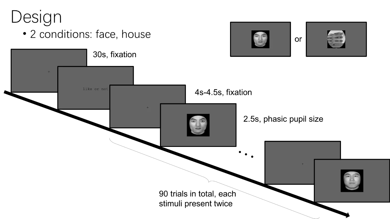 IMG_9388.PNG