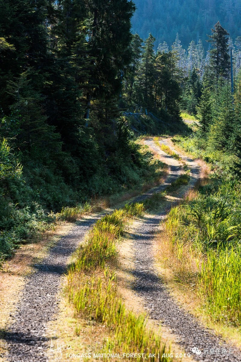 IMG_0588.JPG