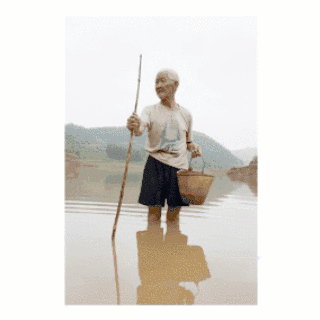IMG_1184.GIF