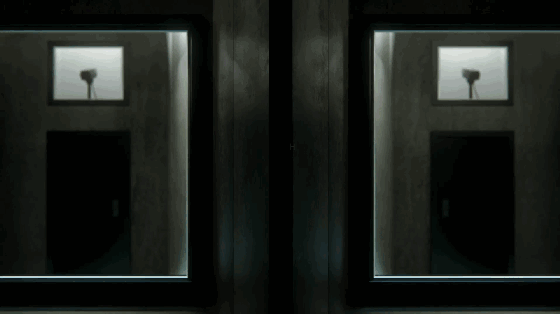 IMG_1799.GIF