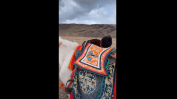 IMG_2412.GIF