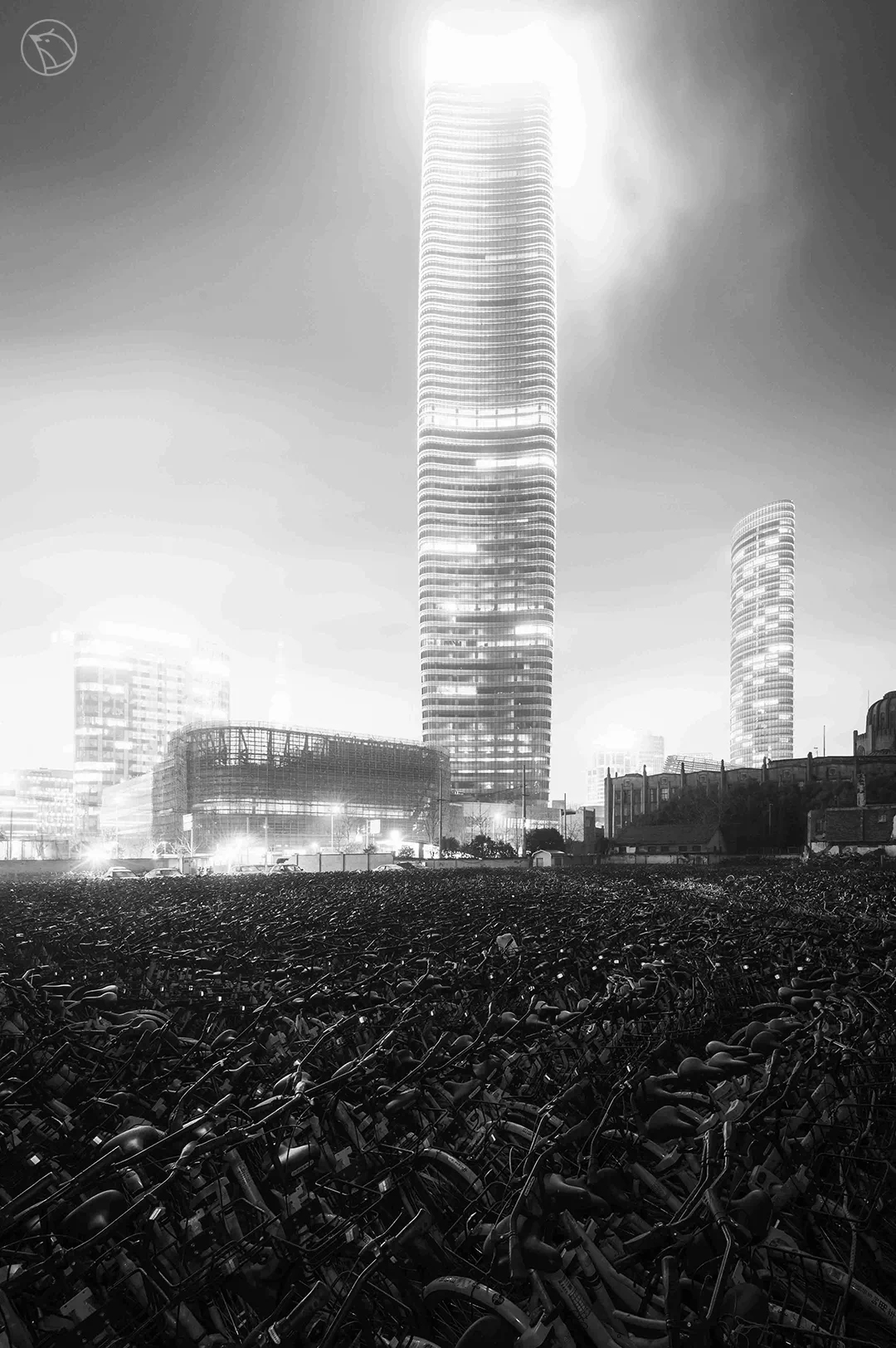 IMG_4650-compressed.jpg