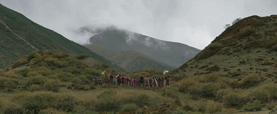 IMG_5305.GIF