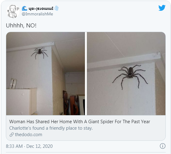 Capture.PNG