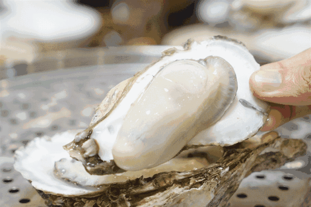 IMG_5668.GIF