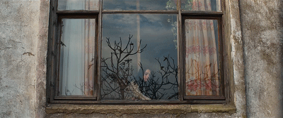 IMG_7142.GIF