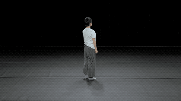 z269.gif