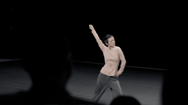 z295.gif