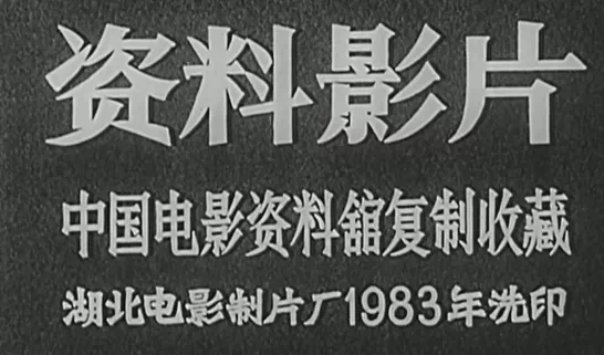 IMG_3953.PNG