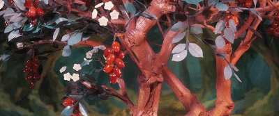 IMG_4402.GIF