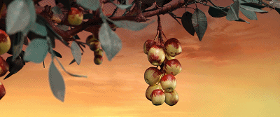IMG_4421.GIF