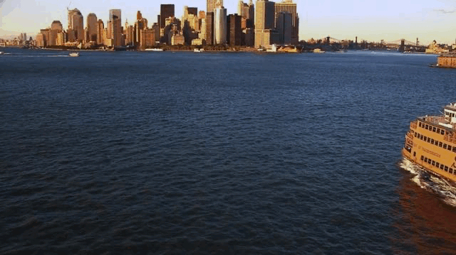 IMG_4729.GIF
