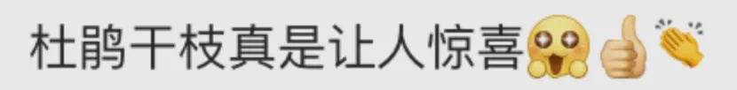 IMG_4733.PNG