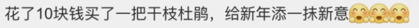 IMG_4734.PNG