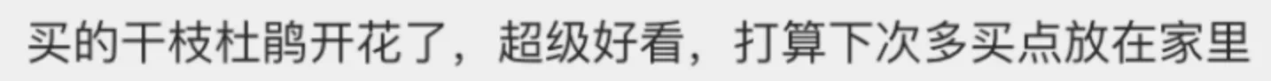 IMG_4735.PNG